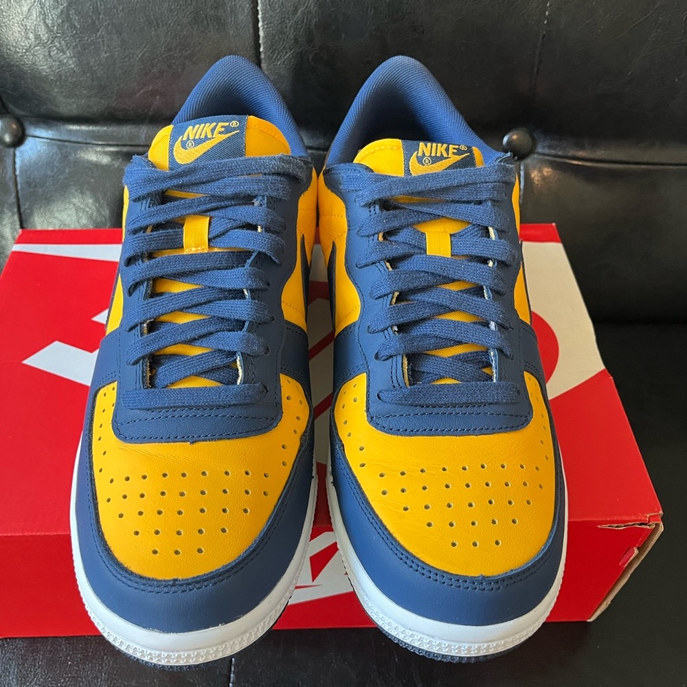 Nike Terminator Low ‘Michigan’ - Picture 2 of 8